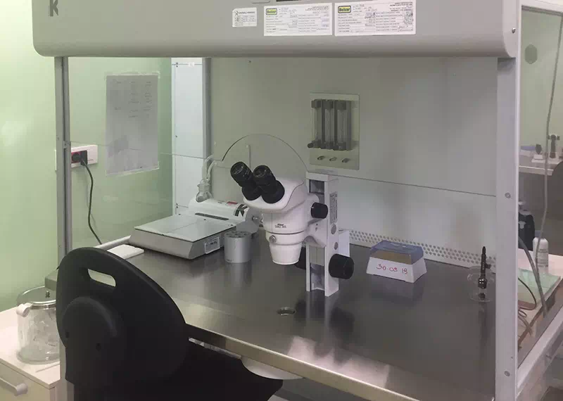 Cabina biologica usata in vendita