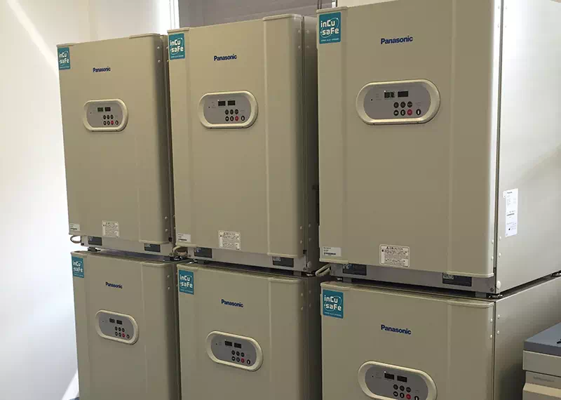 Incubatori pronti per installazione in laboratorio